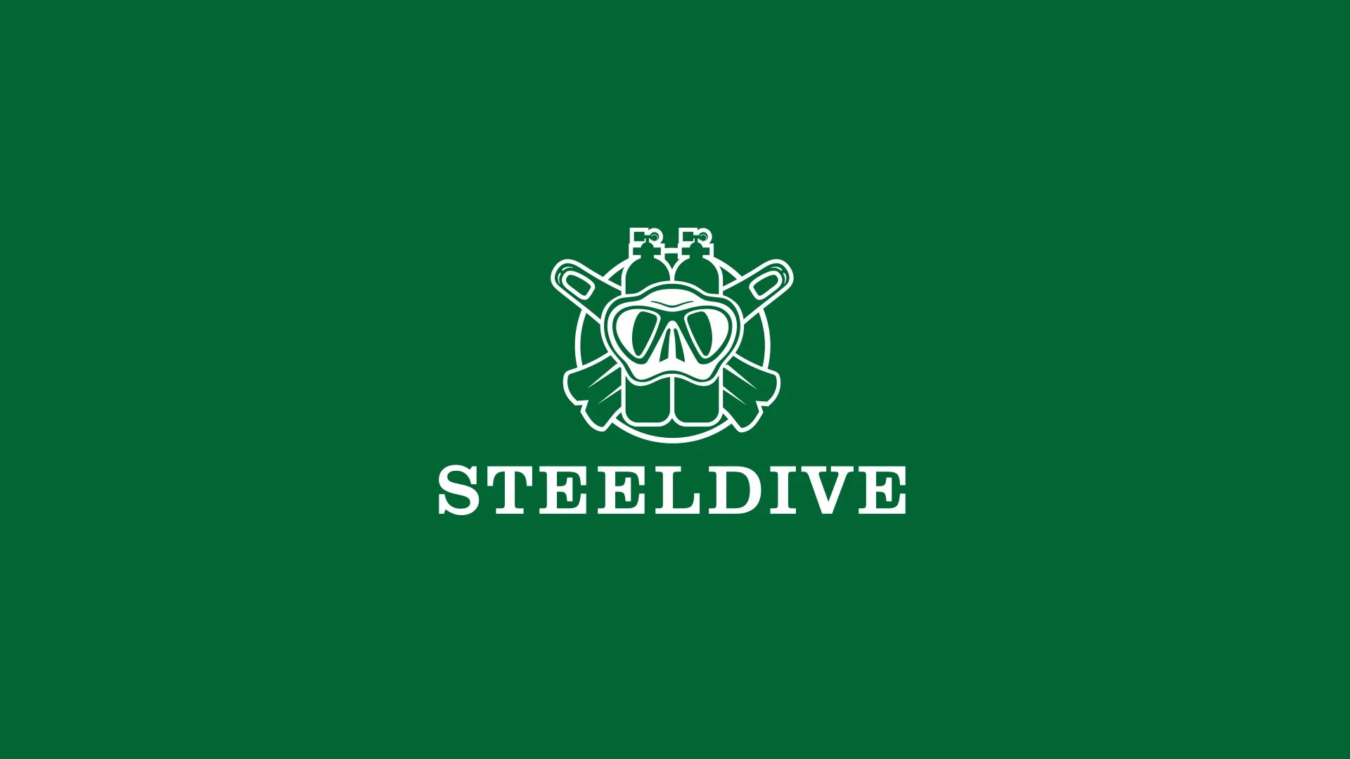 Steeldive Diver